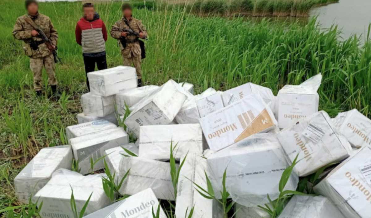 В Жамбылской области пресекли ввоз контрабандных сигарет на 25 млн тг
