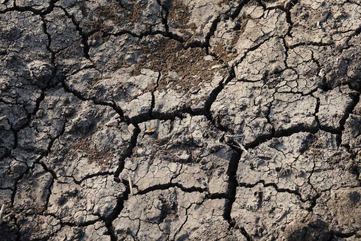 В трёх областях Казахстана ожидается засуха