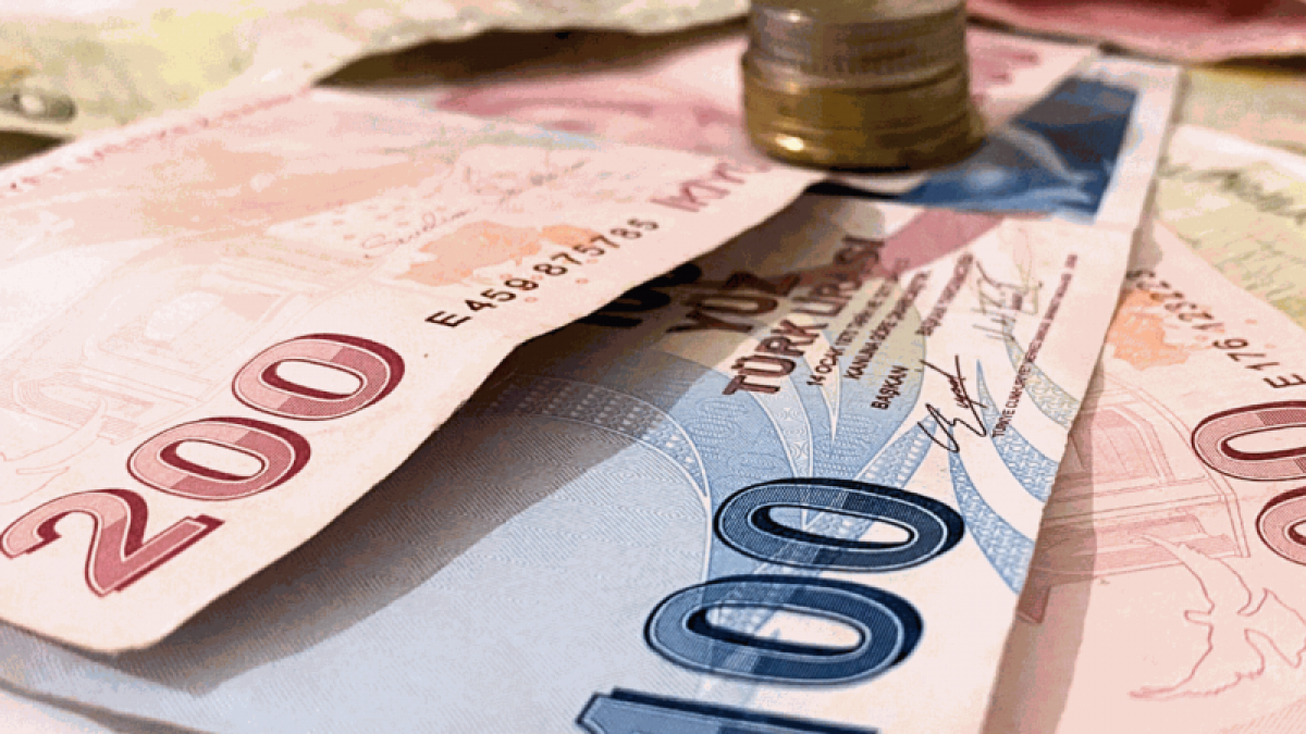 Турецкая лира упала до нового исторического минимума