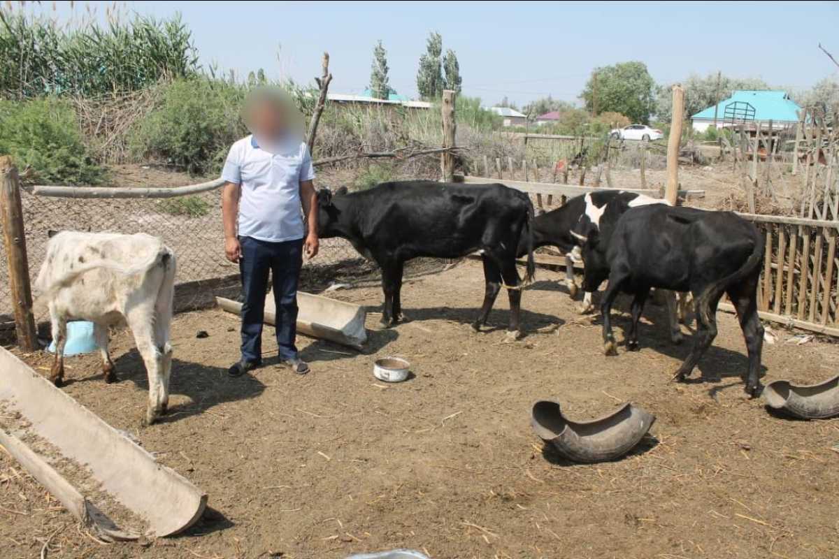 Жители аула помогли полицейским в поимке серийных скотокрадов в Кызылординской области