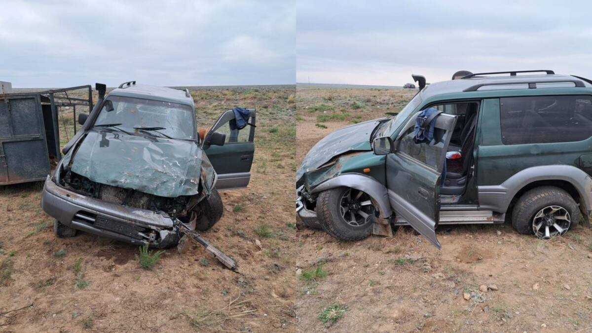 Лошадь погибла в ДТП в Экибастузе