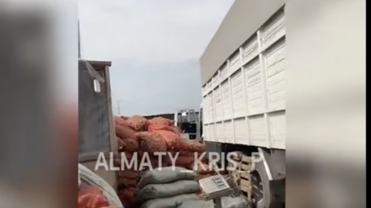 Жительница Алматинской области раздала 2 грузовика овощей
