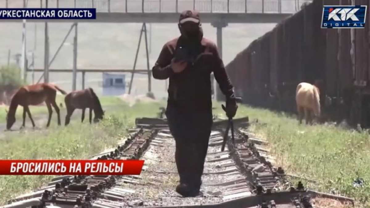 В Туркестанской области бизнесмен сдаёт железную дорогу на металлолом