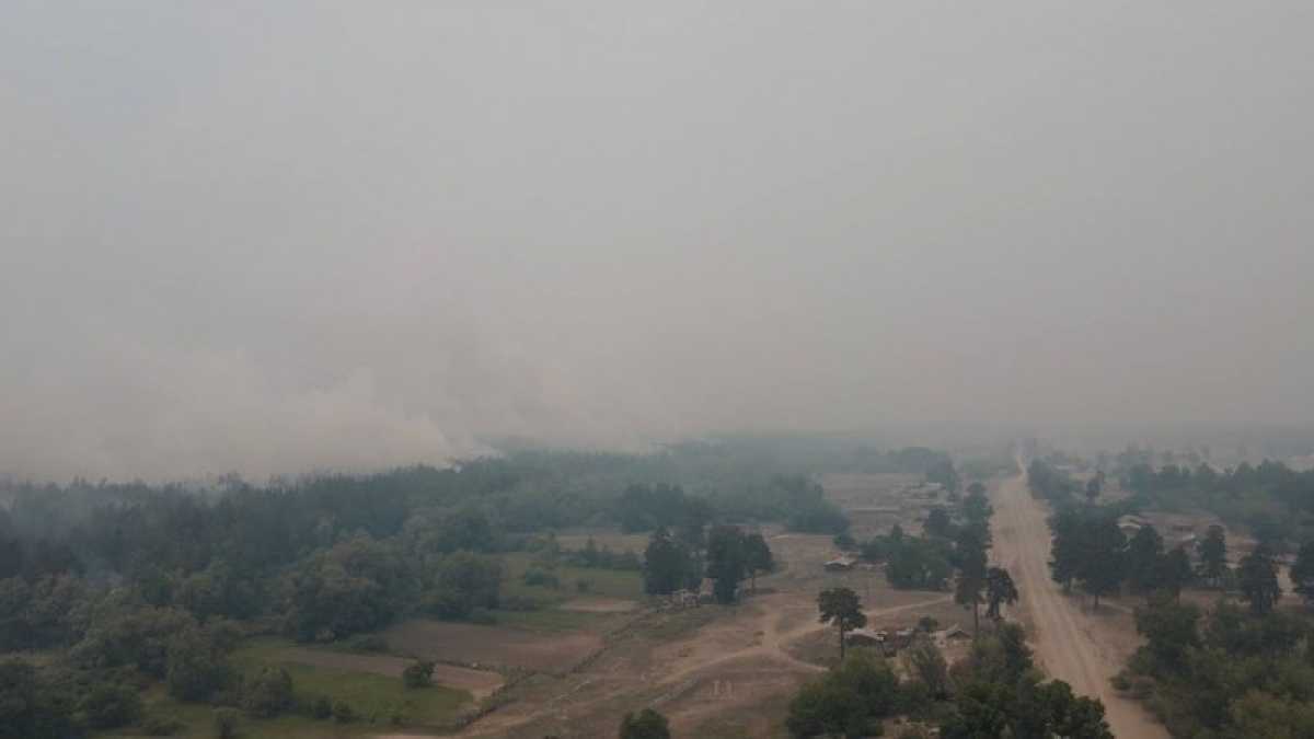 Опубликованы фото 14 погибших при пожаре сотрудников лесхоза