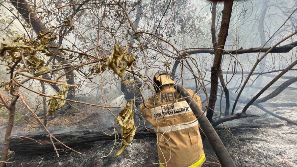 Борьба с огнем в области Абай продолжается на пяти участках