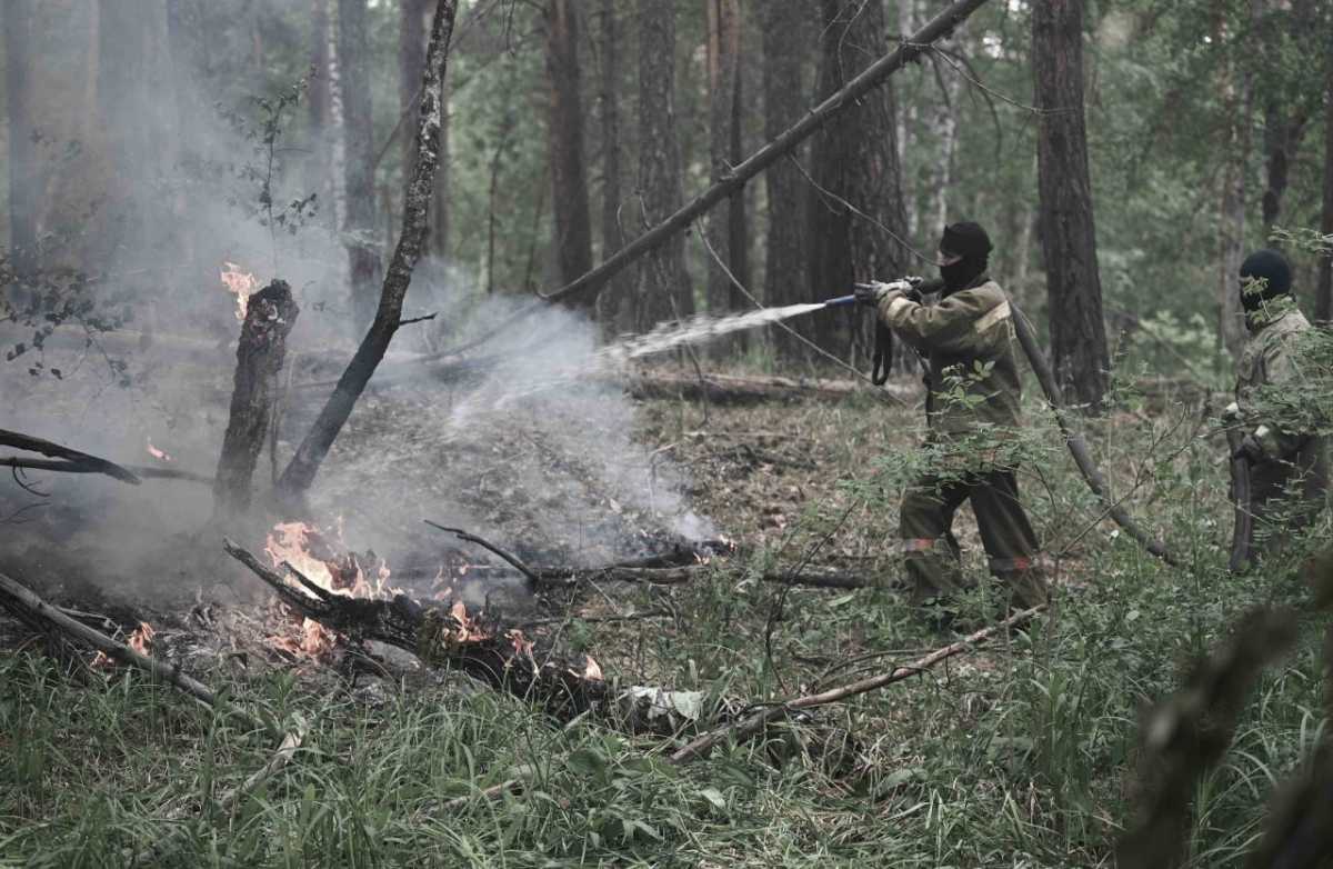 Более 1,5 тысяч человек продолжают тушит лесной пожар в Абайской области