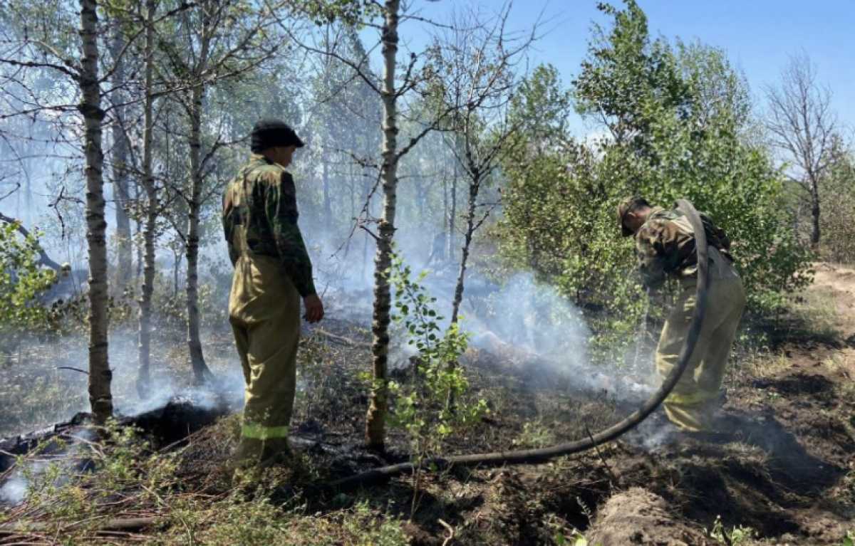 Угрозы населённым пунктам нет - оперштаб о пожаре в Абайской области