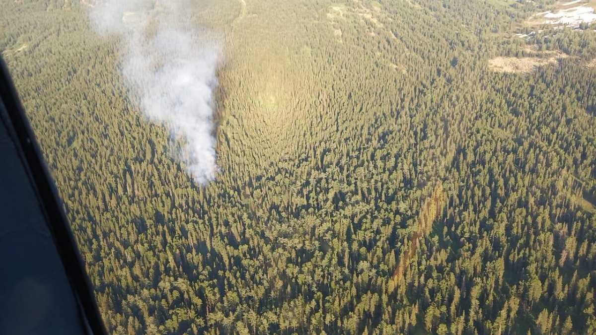 На территории Западно-Алтайского государственного природного заповедника объявлена локализация пожара
