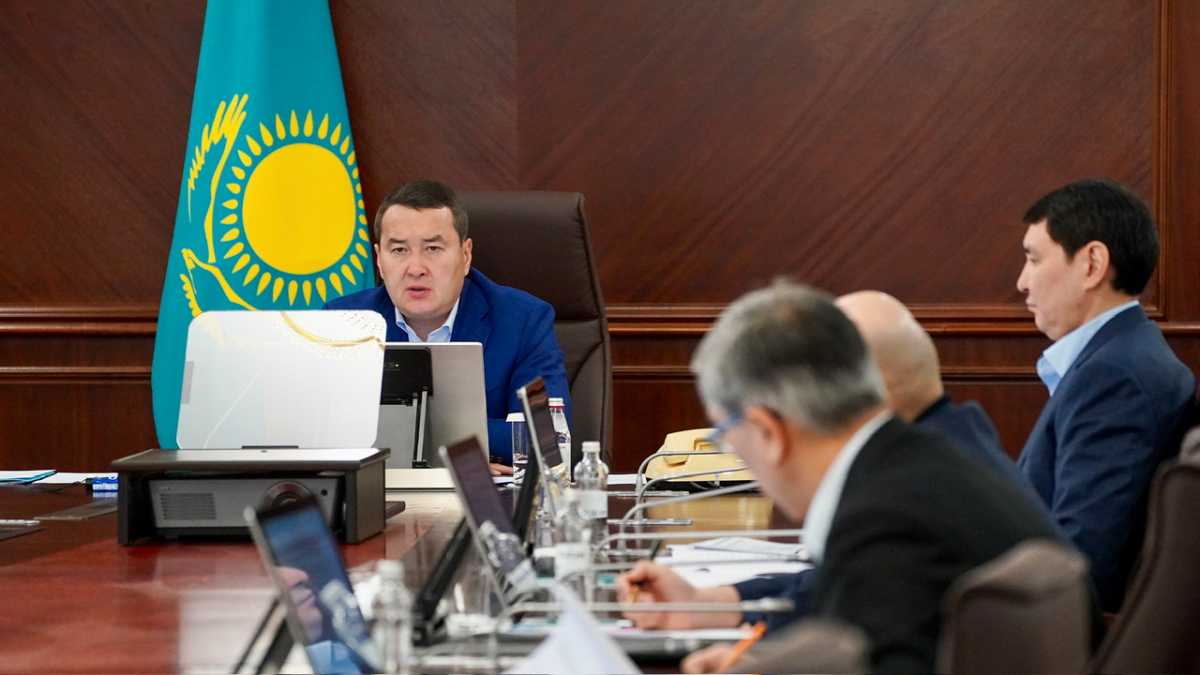 Автоматизированная система госконтроля бизнеса заработает в Казахстане с 2024 года