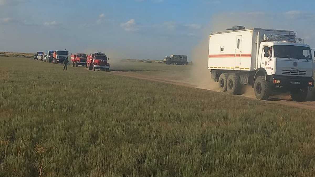 В Коргалжынском заповеднике ликвидировали пожар