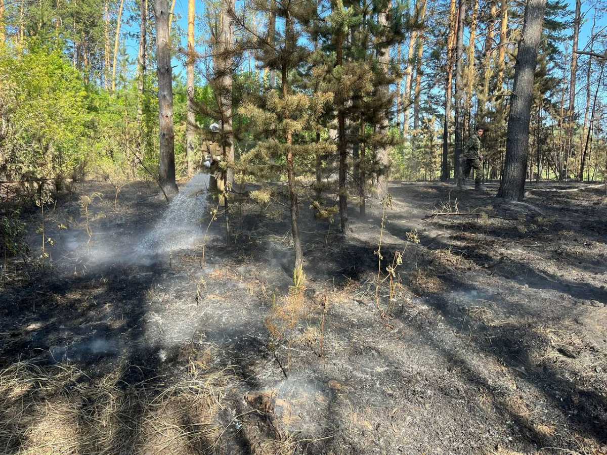 Более 500 человек продолжают тушить пожар в Абайской области