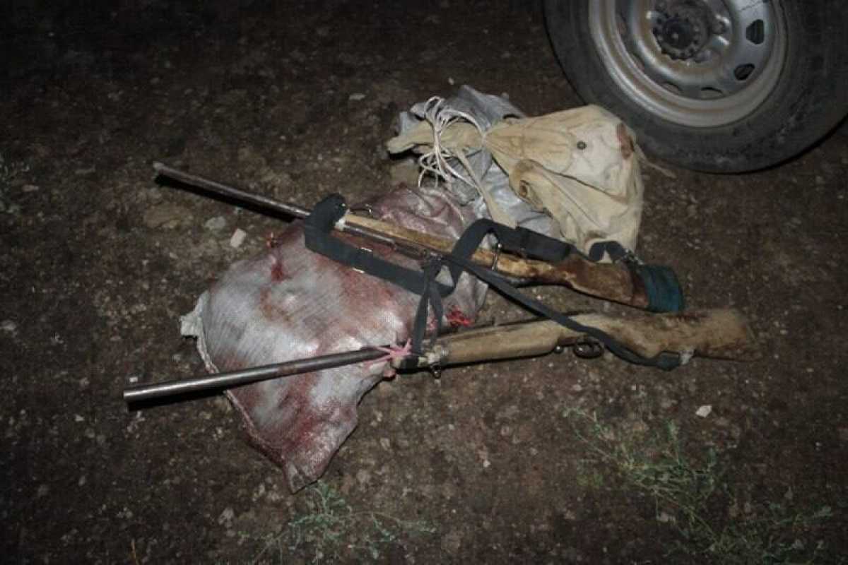Вооружённого мужчину с мясом убитого животного задержали в Туркестанской области