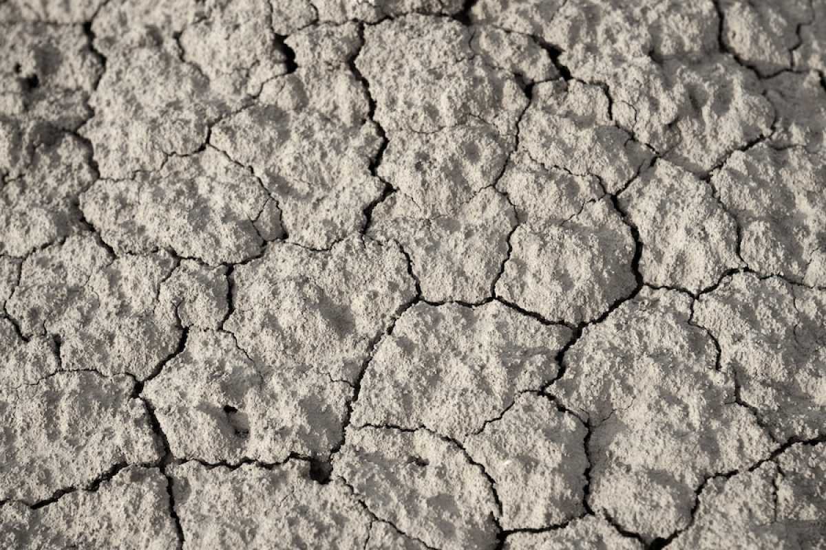 Сильная засуха ожидается в двух областях Казахстана в июле