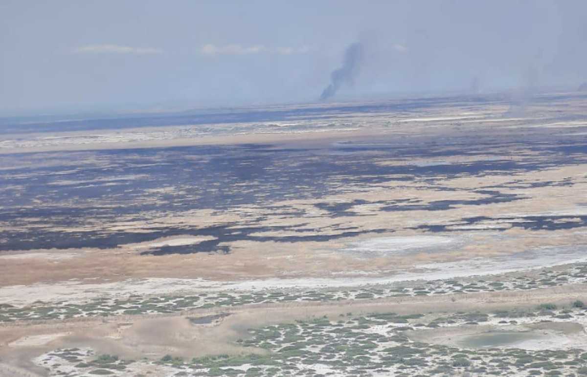 На территории Иле-Балхашского резервата горит камыш