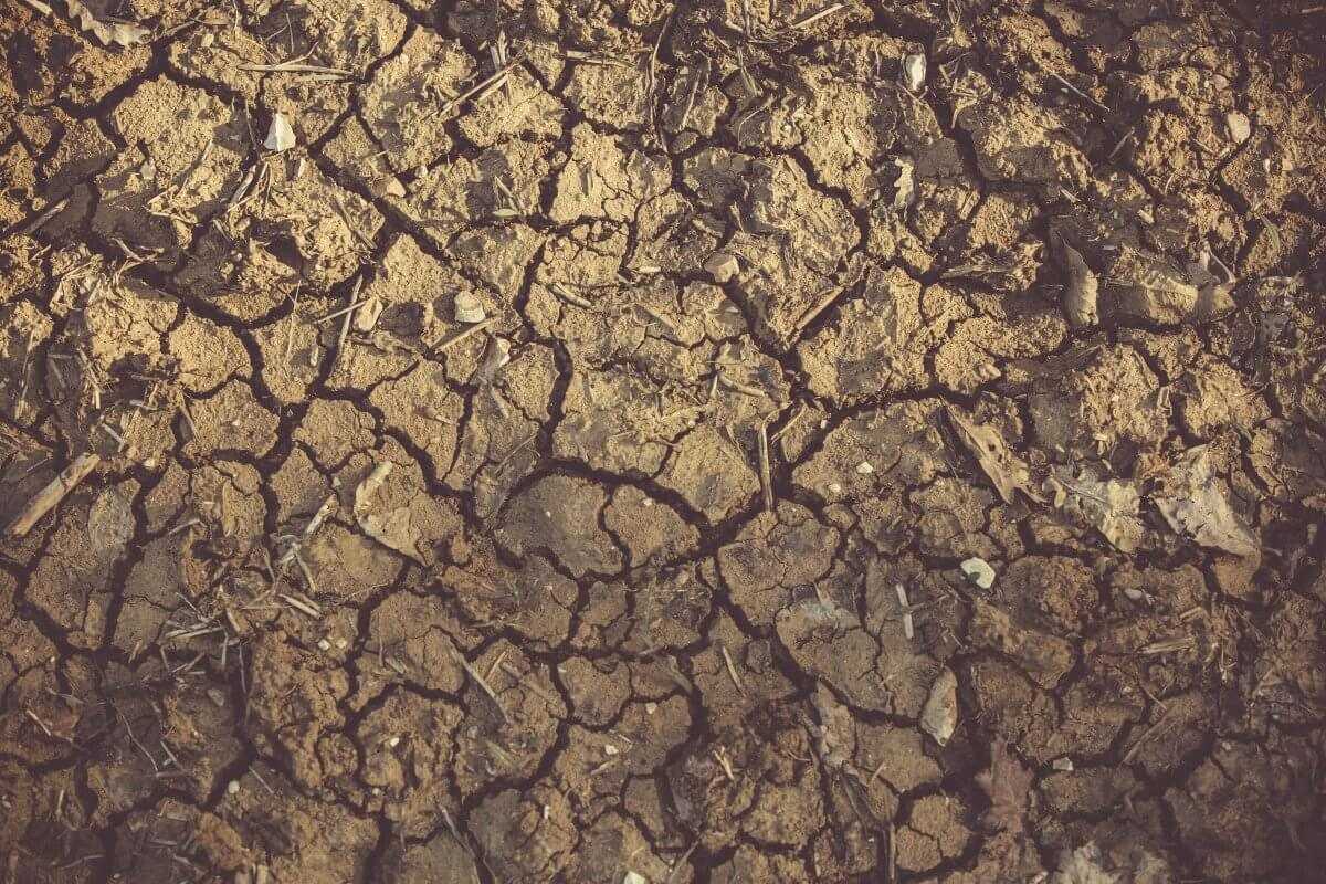 Сильная засуха ожидается в июле в двух областях Казахстана