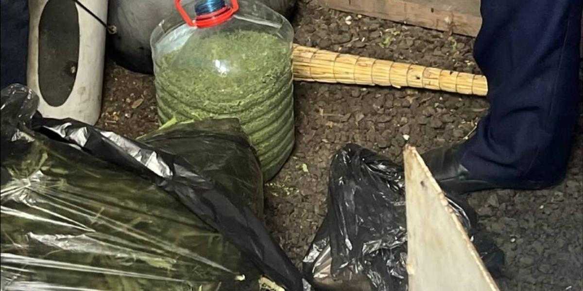 Целый наркоогород нашли у жителя отдаленного района Карагандинской области