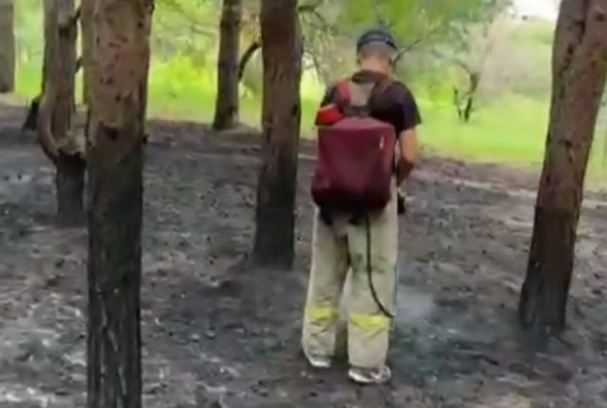 Дети подожгли лесопосадку в Карагандинской области