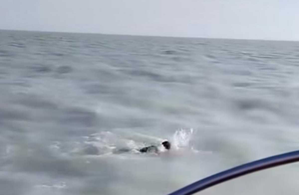 Казахстанец переплыл Балхаш: пловец осилил расстояние в 38 км