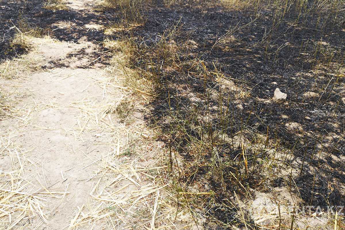 Крупный пожар в Атырауской области тушат третьи сутки