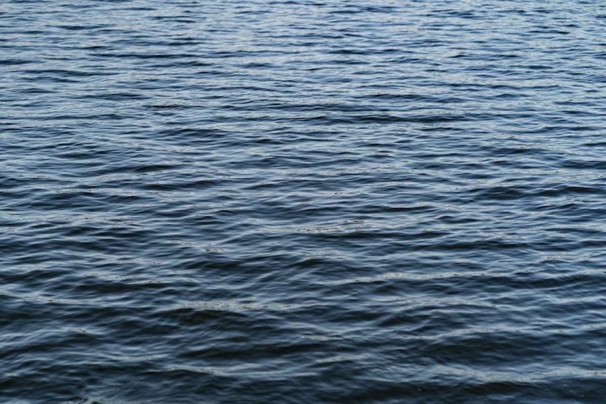 Мужчина утонул, спасая ребёнка в Акмолинской области