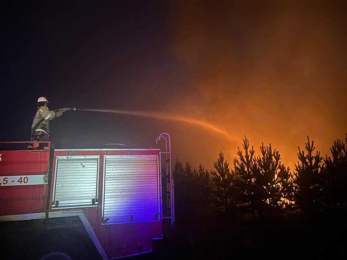 Пожар в Павлодарской области: более 60 кубометров воды сбросили на горящий лес