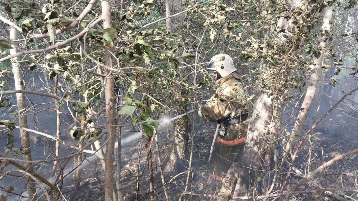 Четыре степных пожара ликвидировали в Абайской области