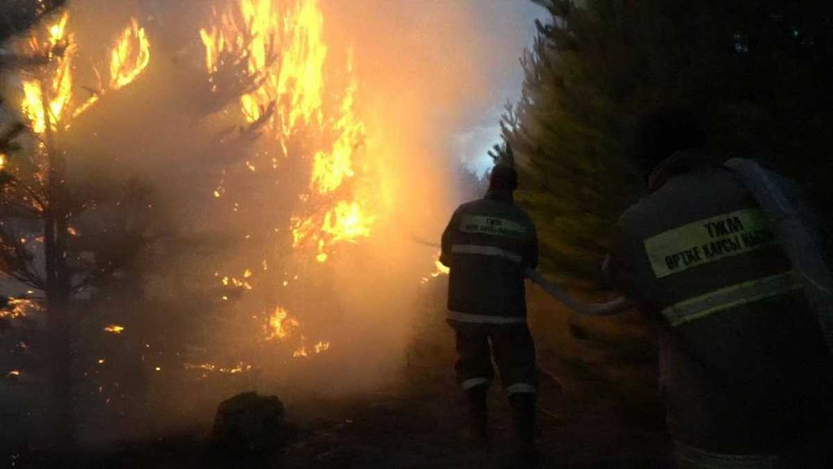 Режим ЧС объявили из-за пожара в лесном резервате «Eртic орманы»