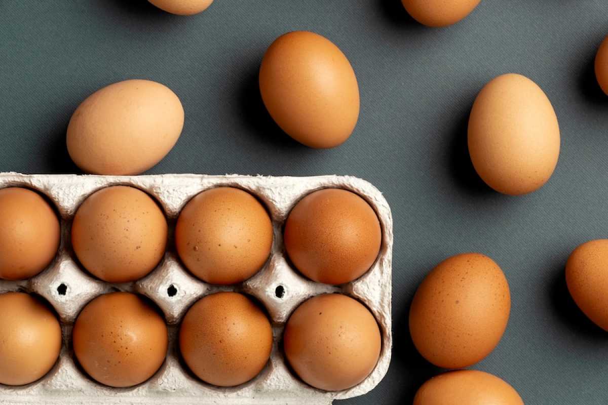 6 тысяч яиц похитили сотрудники птицефабрики в Карагандинской области