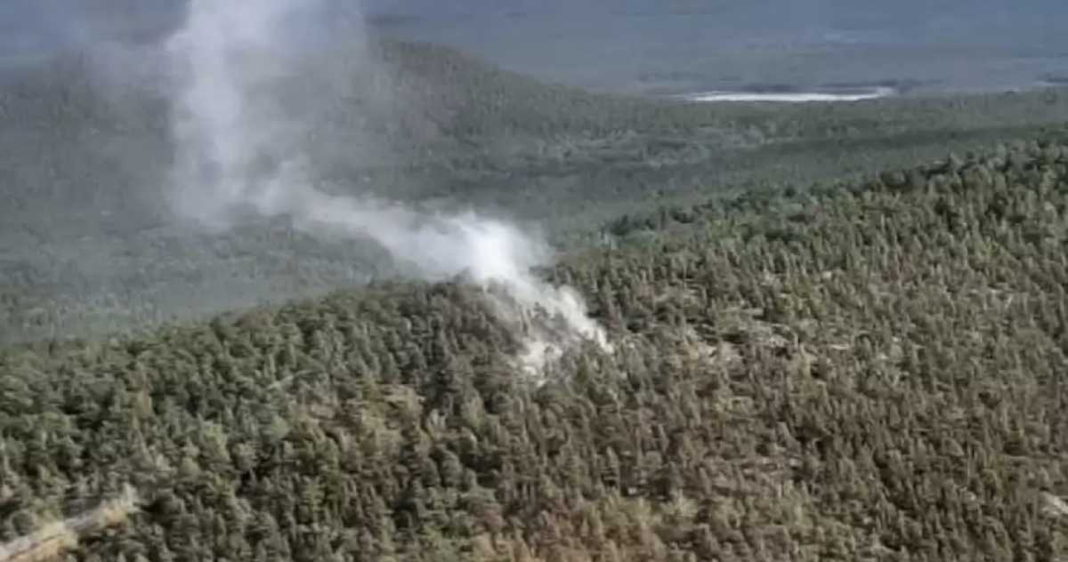 Пожар из-за молнии произошел на горе в Бурабае