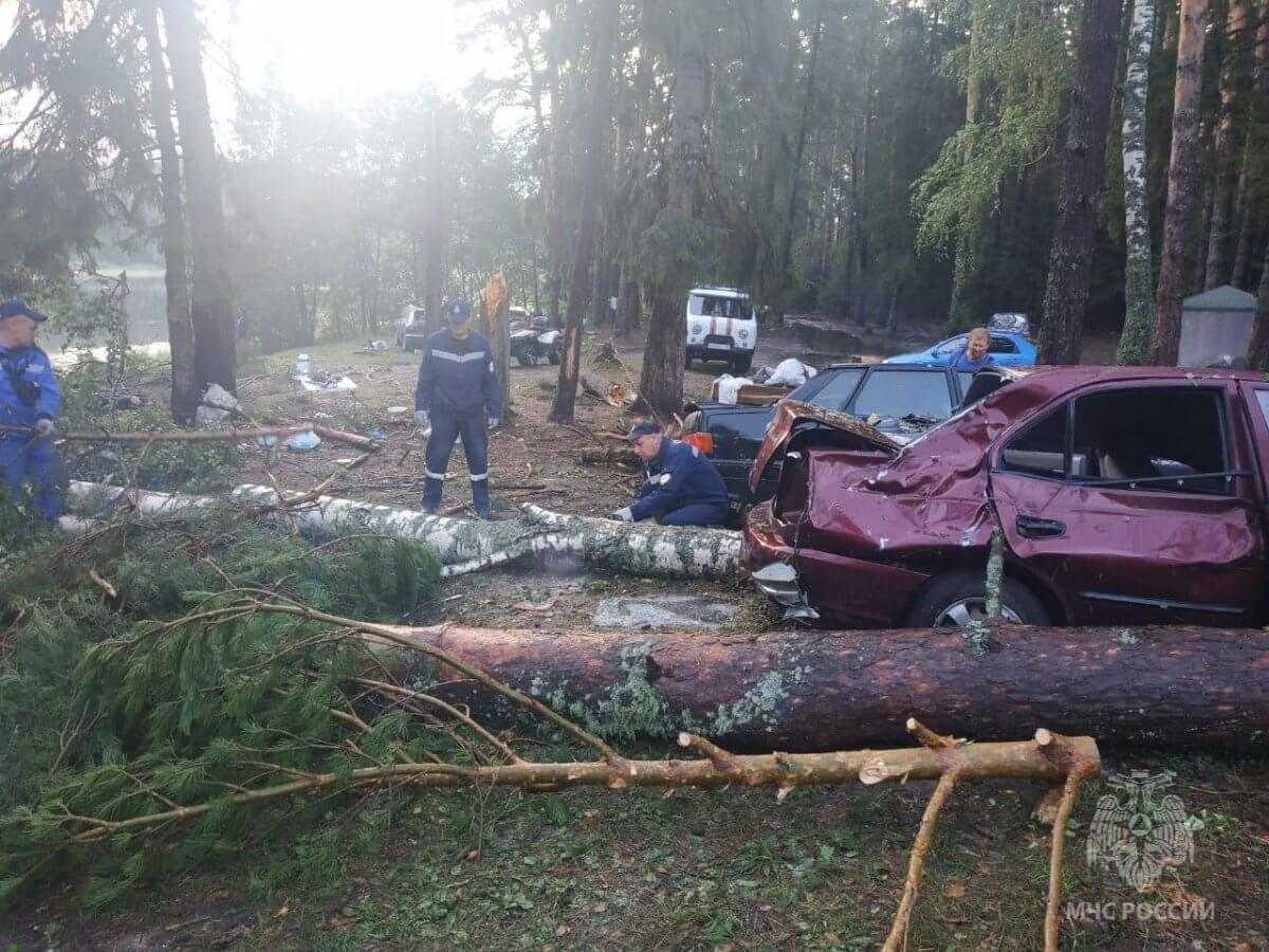 Девять человек погибли из-за ураганного ветра в России