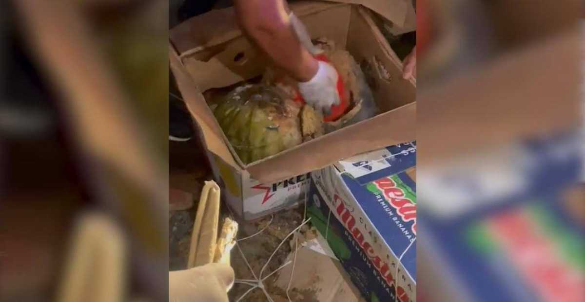 Партию наркотиков на сумму свыше 2,5 млн долларов изъяли сотрудники МВД РК