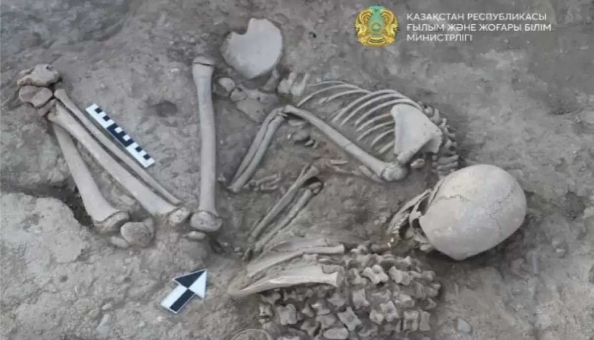 В ВКО в древнем кургане нашли останки женщины, бронзовую лягушку и 180 асыков