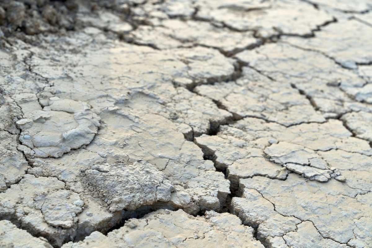 В трёх регионах Казахстана ожидается сильная засуха