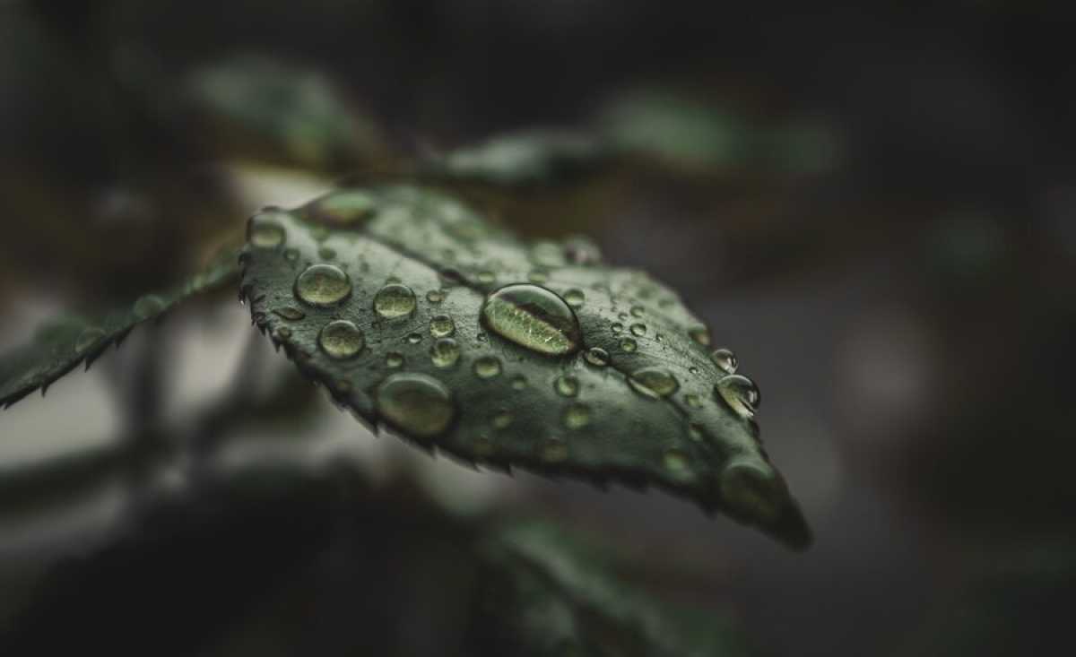 Сильные дожди ожидаются в Казахстане