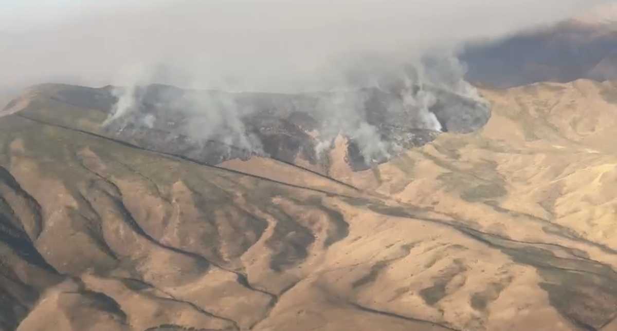 Пожар а горах ликвидировали в Жамбылской области