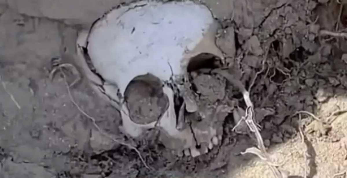 Человеческие останки обнаружили в степи в Мангистауской области
