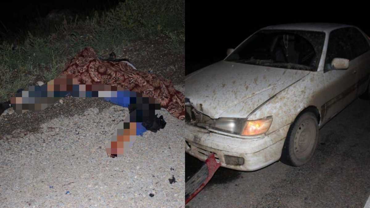 Сидящего на трассе мужчину задавили в Абайской области