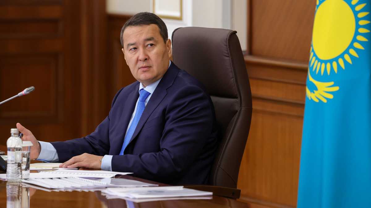 Поддержку новых проектов среднего бизнеса в южных регионах Казахстана обсудили в Правительстве