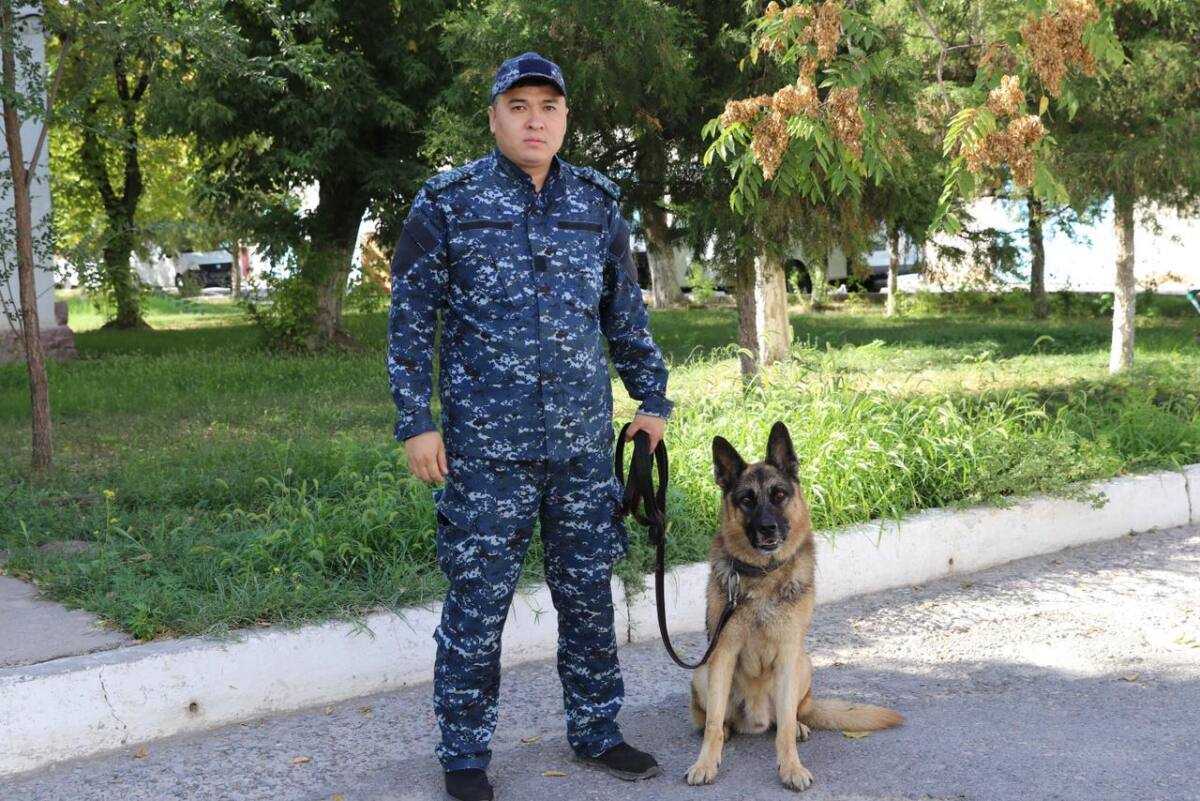 Подозреваемого в убийстве родного брата задержала полицейская собака в Шымкенте