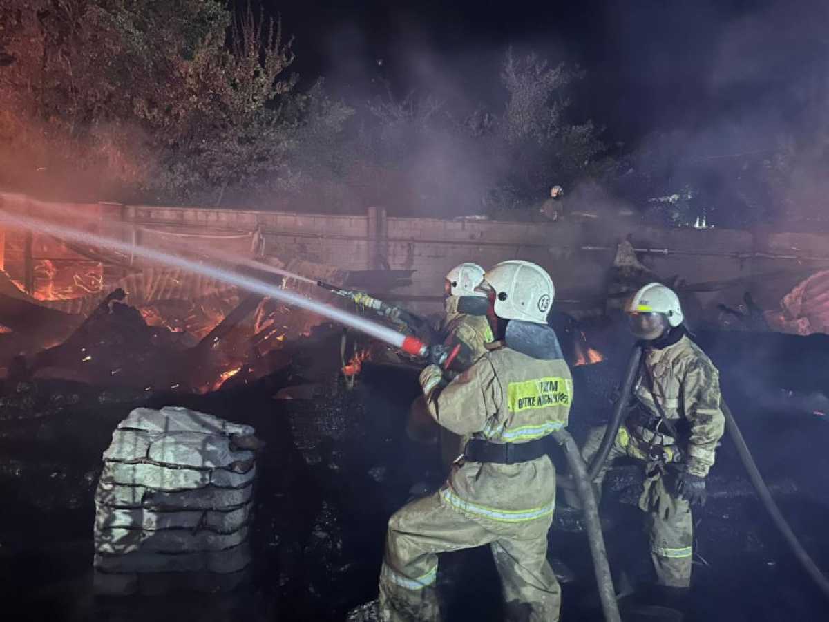В ДЧС рассказали подробности крупного пожара в Алматы