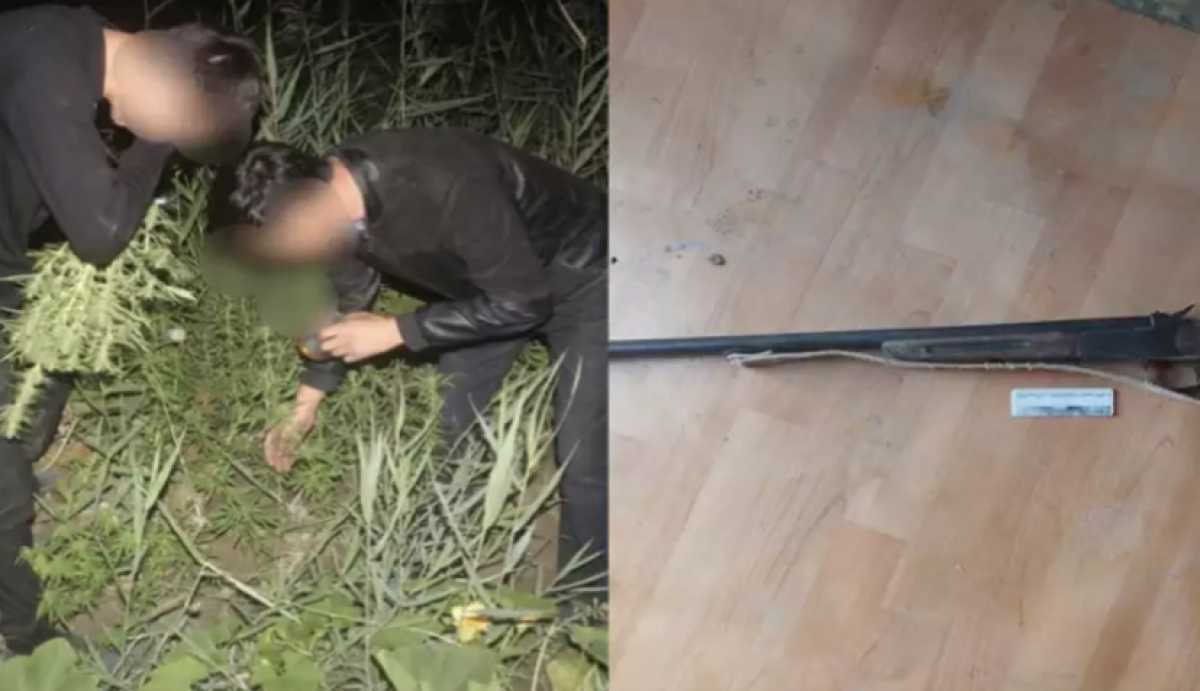 Два наркопосева обнаружили в Кызылординской области