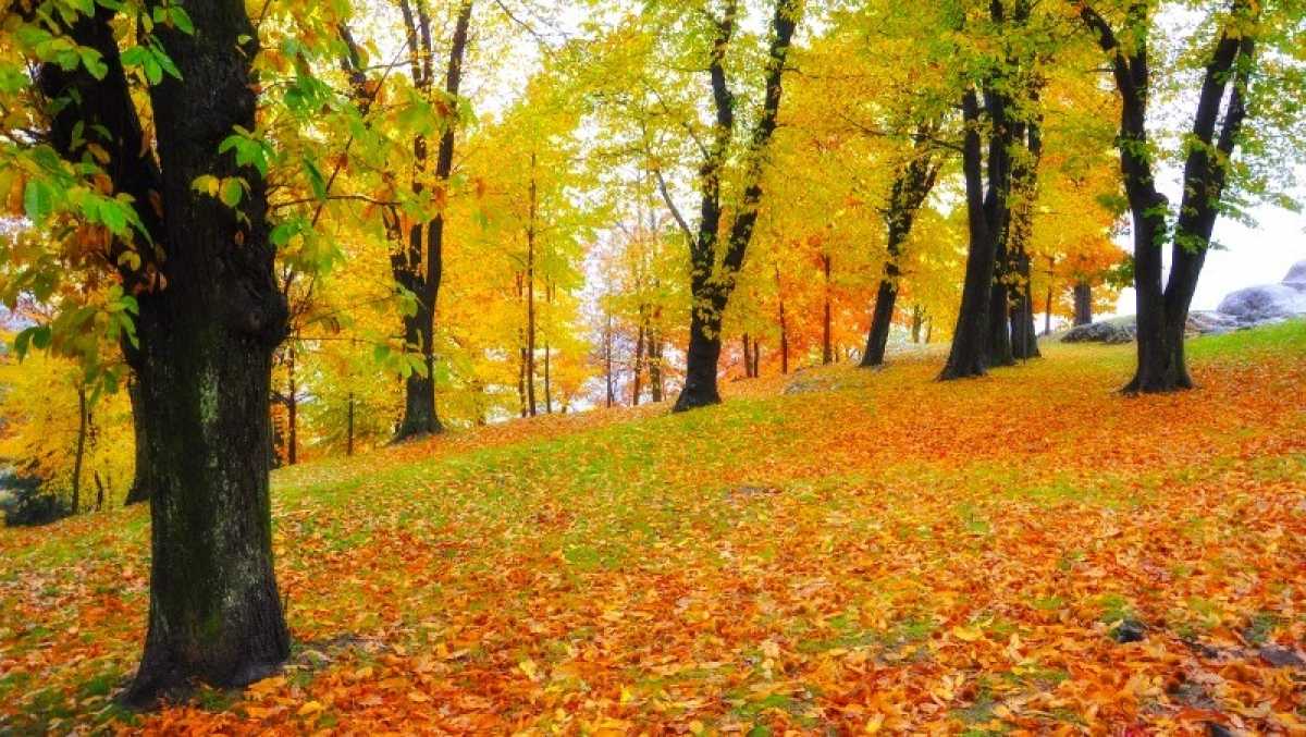 Приметы на 7 сентября 2023 года: что категорически запрещается делать в этот день