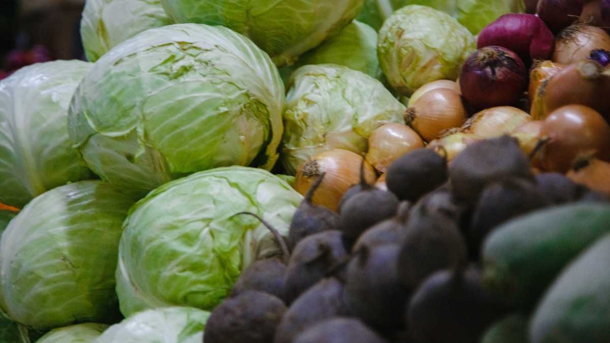 Сельхозярмарки в Астане: какие регионы представят свою продукцию