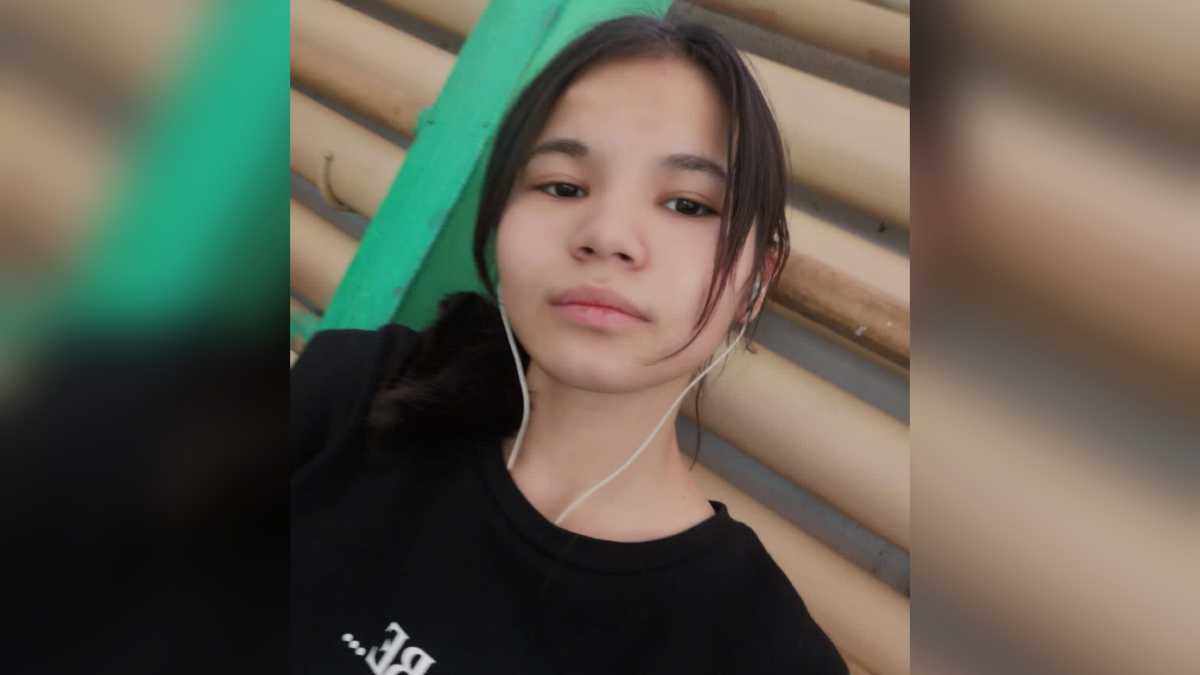 Девушку-подростка разыскивают полицейские и волонтёры в Акмолинской области