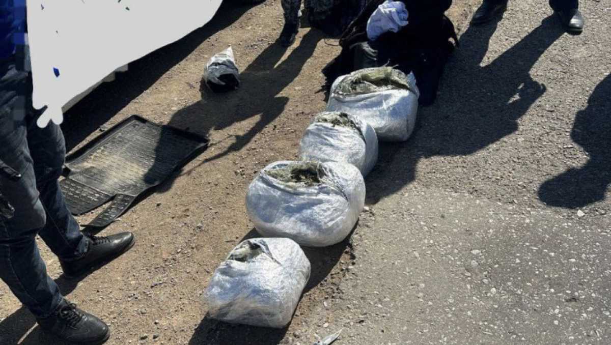 15 кг марихуаны обнаружили в авто в Улытауской области