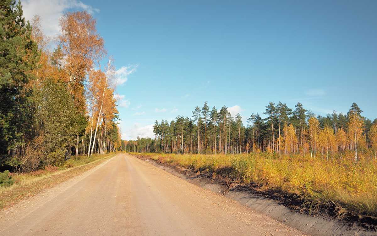 Приметы на 14 сентября 2023 года: что категорически запрещается делать в этот день