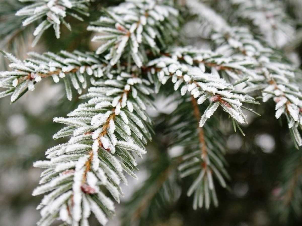 Приметы на 16 сентября 2023 года: что категорически запрещается делать в этот день