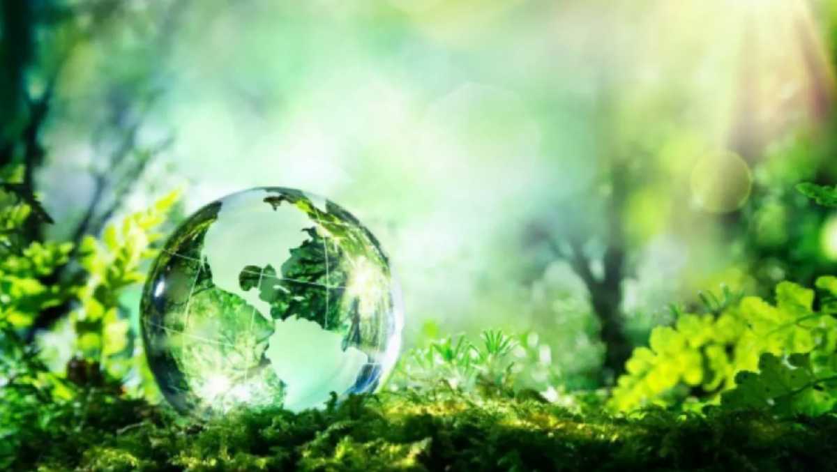 Столичные прокуроры приняли участие в ежегодной экологической акции «Всемирный день чистоты»