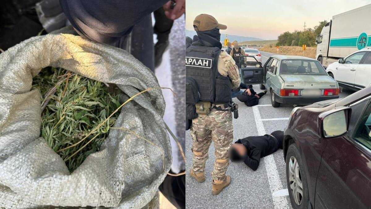 Спецоперация в Туркестанской области: изъято более 2 кг марихуаны