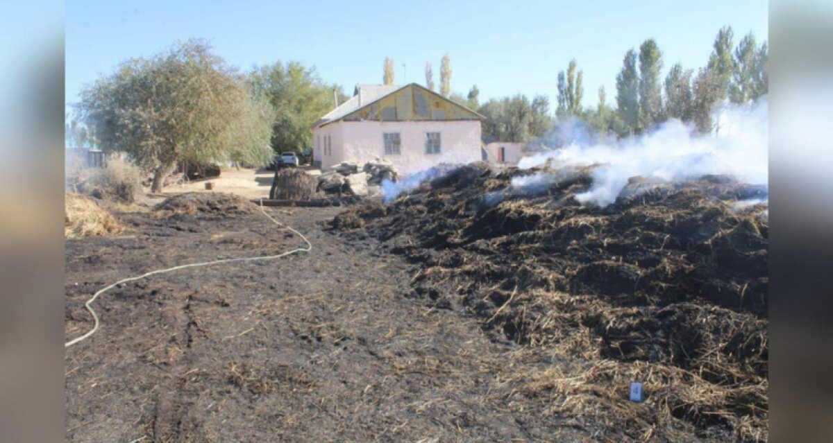 Тысячу тюков люцерны односельчанина сжег житель Кызылординской области